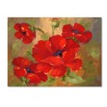 Trademark Fine Art Rio 'Poppies' Canvas Art, 30x47 MA077-C3040GG